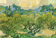 Vincent Van Gogh Olive Trees with the Alpilles in the Background China oil painting reproduction